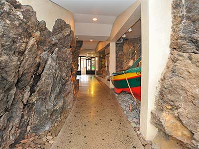 Cachalote Museum